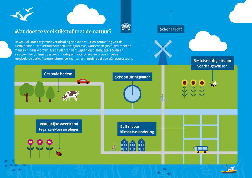 Infographic: wat doet te veel stikstof met de natuur