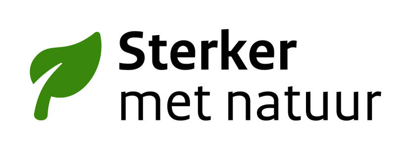 Logo basis